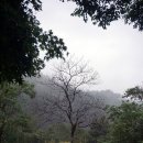 강원오토 이미지