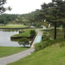 아일랜드 골프존 이미지