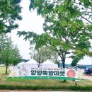 [양양뚝방마켓] 매달 1,3,4째주(토,일)오픈! 매주 2째주 휴무! 5월6,7일 우천시에도 뚝심있게 여는 뚝방...