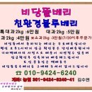 비당농장 | 친환경무농약 블루베리 생과 즐기기맛있게 먹는법 쇠소깍감귤 숙마담 님의 비당뜰블루베리구매후기 이야기