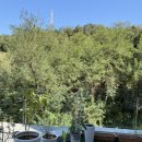 빛나는미술관미술학원 이미지