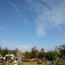 진전경로당 이미지