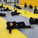 전통무예 중앙 합기도 | 경기 광주 양벌동 맹호합기도 - 시범단 &amp; 스피드 쌍절봉 연수원