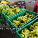 석수농장2 이미지