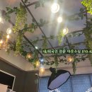 레드셔터 이미지