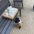인생아구찜 삼송점