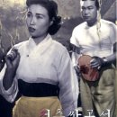 1956년도 영화보기 - 청춘 쌍곡선 / 드라마 / 황해, 지학자 이미지