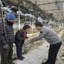 김화농업협동조합 이미지