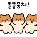 더스타프리테니스아카데미
