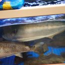 현해탄수산 이미지