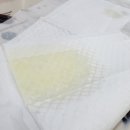 다은동물병원 이미지