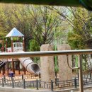 장수장의사 이미지