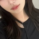 디톤헤어 이미지