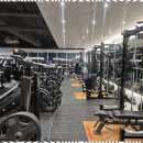 피트니스 엘 이미지