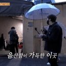 시골집오리농원 이미지