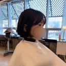 모아쉬