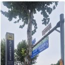 금터공인중개사 이미지