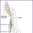 365마디척한의원 이미지