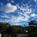 하늘연 캠핑장 이미지