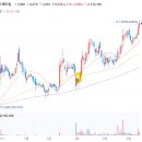 메디칼 아이디어 이미지