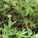 중앙공원(2) 이미지