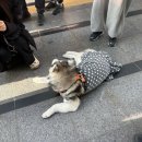 경기제일주유소 | 26_03 정병 유료결제 시즌이 왔습니다. 야구 한다는 얘깁니다.