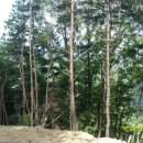 느티농원 이미지