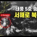 소박사 이미지