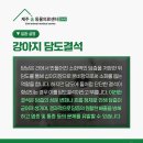 제주24시숨동물의료센터 이미지