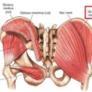 백본 휘트니스 이미지
