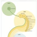 부천바로한방병원 | 치매 예방할 수 있는 14가지 생활습관, 지금 바로 실천하세요 [부천 상동 서울한방병원]