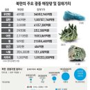 개성산업개발 이미지