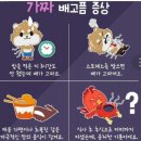 와와점핑다이어트 이미지