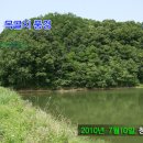 목골소류지 Daum카페