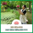 왕자이불 - 중랑구 망우로62길 57 | 청춘 템플스테이! 보성 대원사 템플스테이 후기 (예약 꿀팁 + 식사, 입관체험, 싱잉볼 명상 후기)