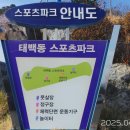 태백동 스포츠파크 이미지