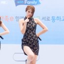 스텔라에이