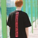 애슬로우 이미지