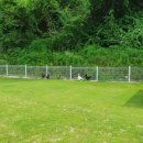 숨인펜션 이미지