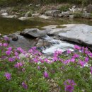 분설담화장실 이미지