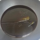 몽고진 발효 | 몽고간장으로 계란장 만들었어요~~