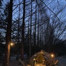 주천면-10(미다리 보보스캇) | 영월 판운리 섶다리 보보스캇야영장