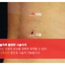 하피스의원 이미지