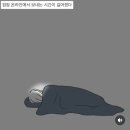 카페안경(by Seechannel) | 8월 일상 밤과 새벽 그리고 적막