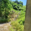 성미산성 이미지