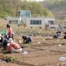 행복농장 5 이미지