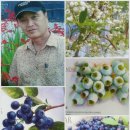 가마골농장 이미지