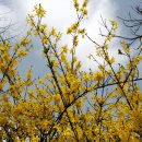 배명고등학교(외) 이미지