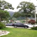 감나무골 식당 민박 이미지