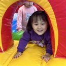 로운 태권도장 이미지